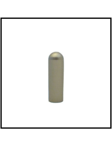 Cache gond de porte 2D inox Diam 16