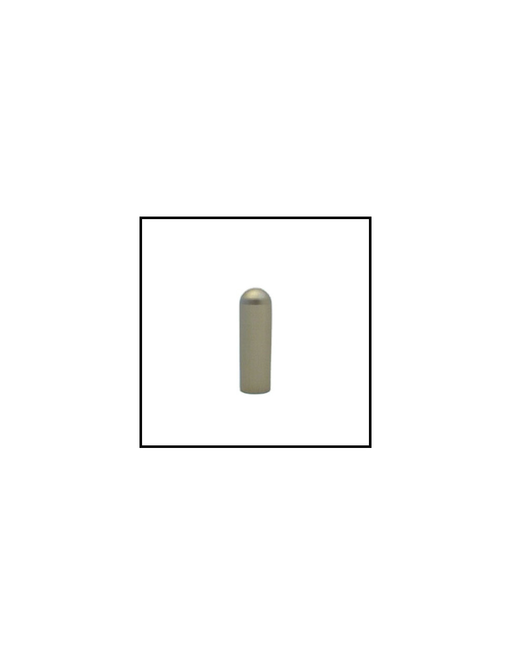 Cache gond de porte 2D inox Diam 16