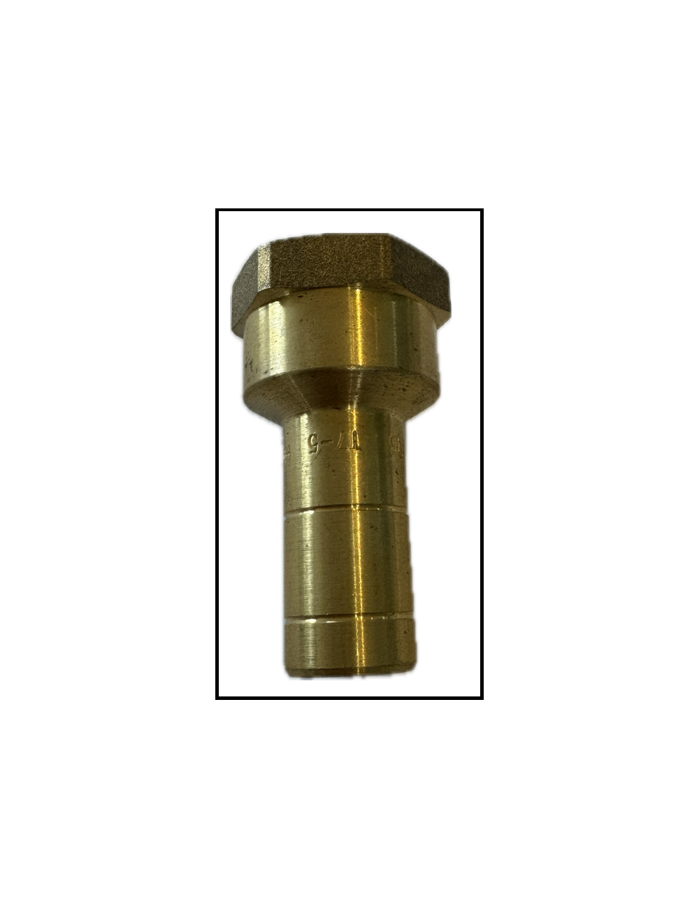Adaptateur femelle BPS/ACORN DZR